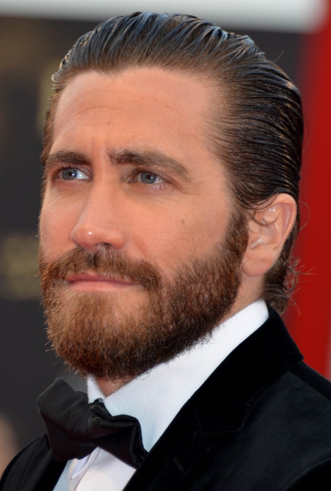 Bộ râu rậm và dài (Full Beard)