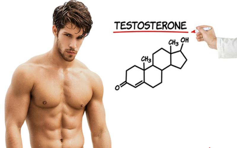 noi-tiet-to-nam-testosterone-la-gi