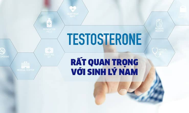 vai-tro-cua-testosterone-doi-voi-sinh-ly-nam