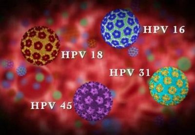 HPV là loại virus gây bệnh truyền nhiễm nguy hiểm qua đường tình dục